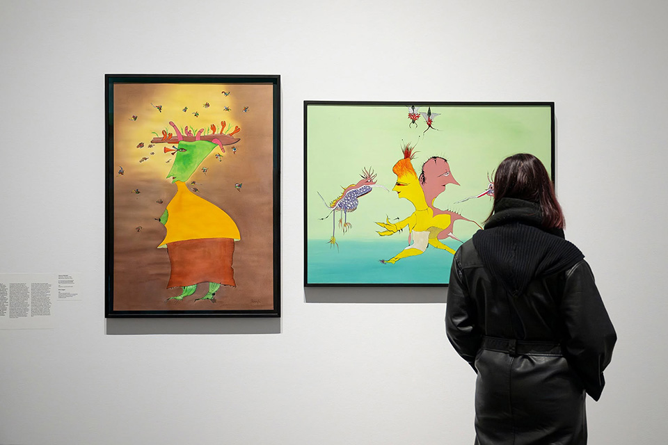guest observing a canvas at MACBA Museum